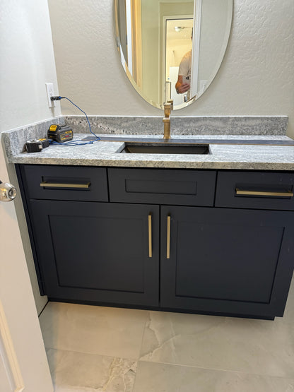 South Phoenix Project