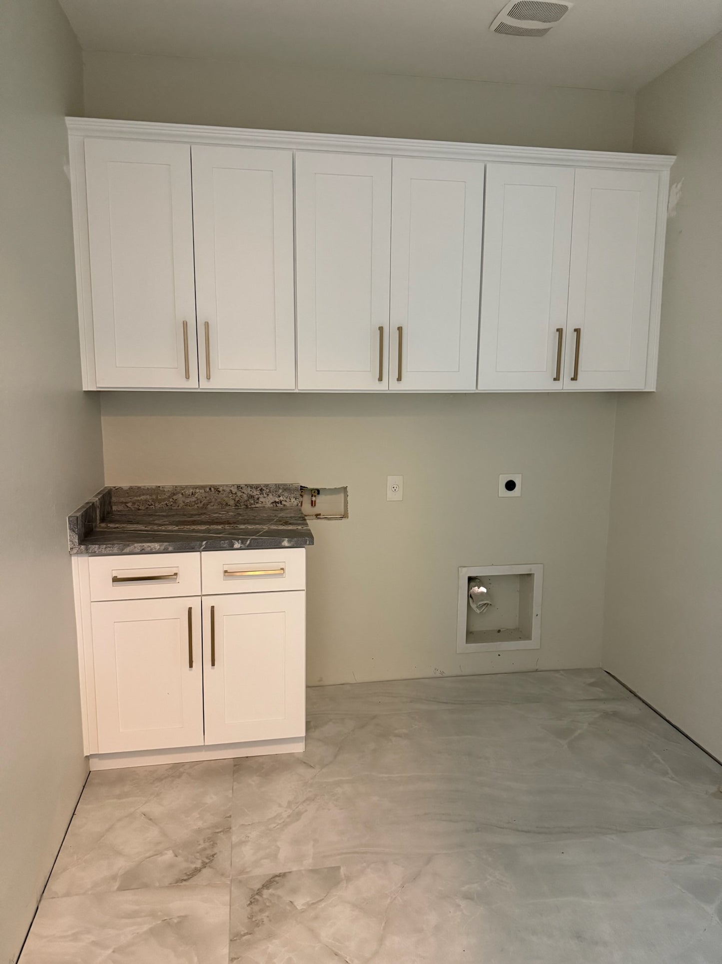 South Phoenix Project